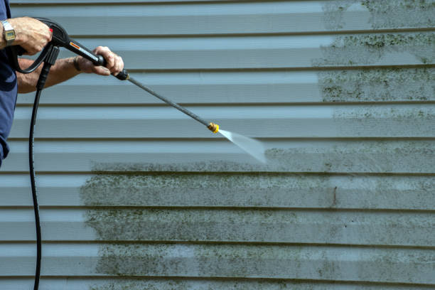 Reliable Olivarez, TX Pressure Washing Services Solutions